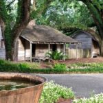 1 oak alley plantation and large airboat swamp tour from new orleans Oak Alley Plantation and Large Airboat Swamp Tour From New Orleans