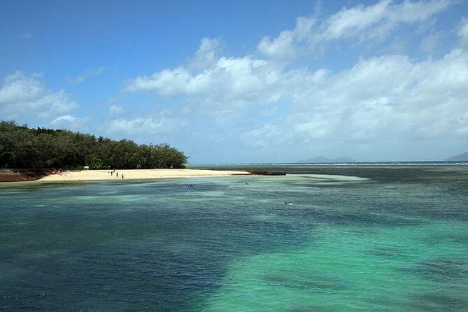 Ocean Free Green Island & Great Barrier Reef Snorkel Cruise