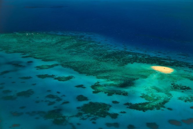 1 ocean spirit sail to michaelmas cay snorkel or dive from cairns Ocean Spirit Sail to Michaelmas Cay Snorkel or Dive, From Cairns