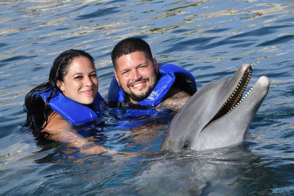 1 ocean world dolphin swim sea lion combo from puerto plata Ocean World Dolphin Swim & Sea Lion Combo From Puerto Plata