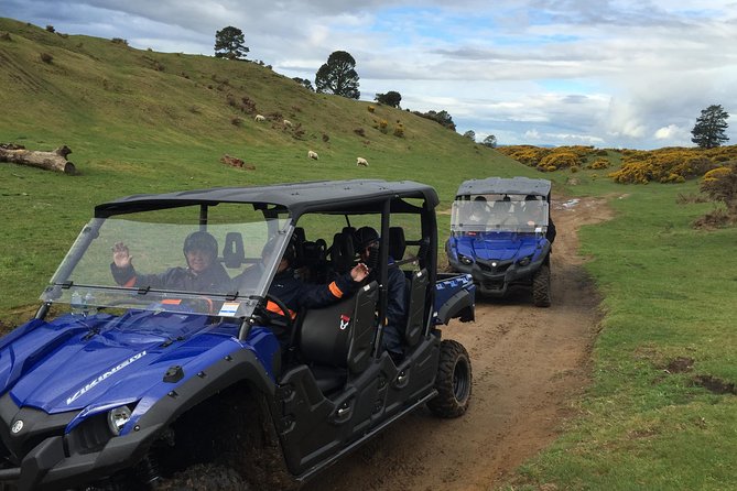 1 off road 4wd buggy adventure from rotorua Off-Road 4WD Buggy Adventure From Rotorua