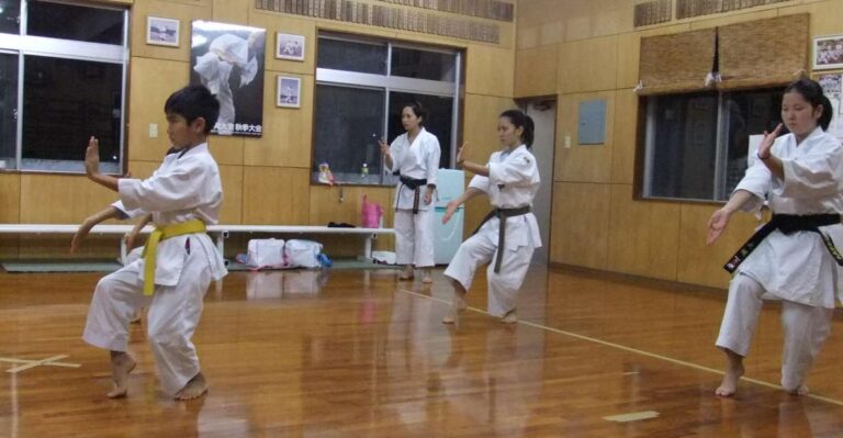 Okinawa: 2-Hour Karate Experience, Heart and Skill
