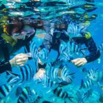 1 okinawa blue cave snorkeling and easy boat holding private system very satisfied with the beautif [Okinawa Blue Cave] Snorkeling and Easy Boat Holding! Private System Very Satisfied With the Beautif