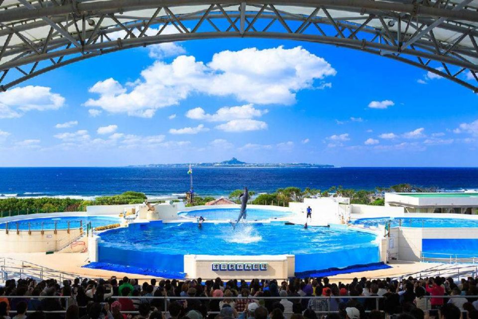 1 okinawa churaumi aquarium admission ticket Okinawa Churaumi Aquarium Admission Ticket