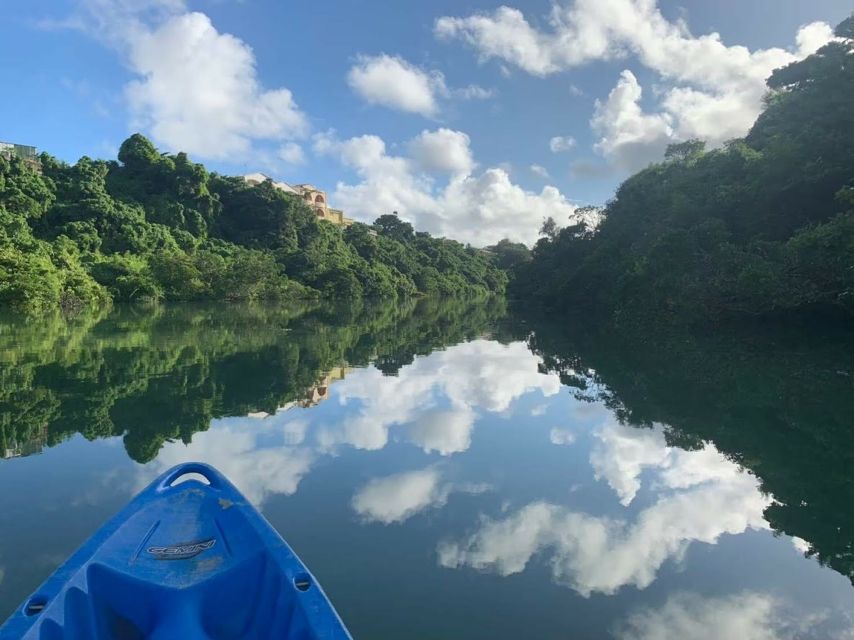 1 okinawa mangrove kayaking tour Okinawa: Mangrove Kayaking Tour