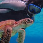 1 okinawa miyako 1 day pumpkin limestone caving sea turtle snorkeling [Okinawa Miyako] [1 Day] Pumpkin Limestone Caving & Sea Turtle Snorkeling