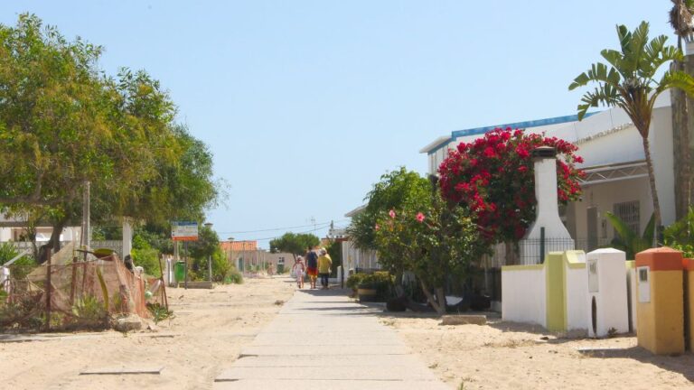 Olhão: 4-Hour Ria Formosa Islands Tour