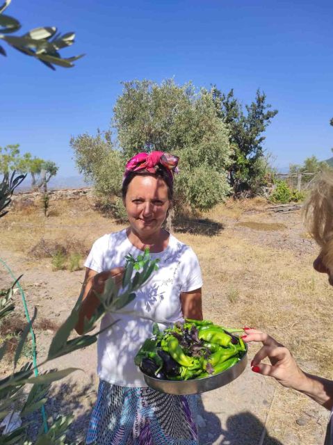 Olive Tasting & Rustic Lunch in Country Home With Live Music