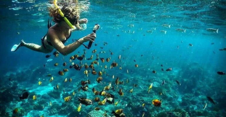 One Day Nusa Penida Snorkeling and Island Tour Combination