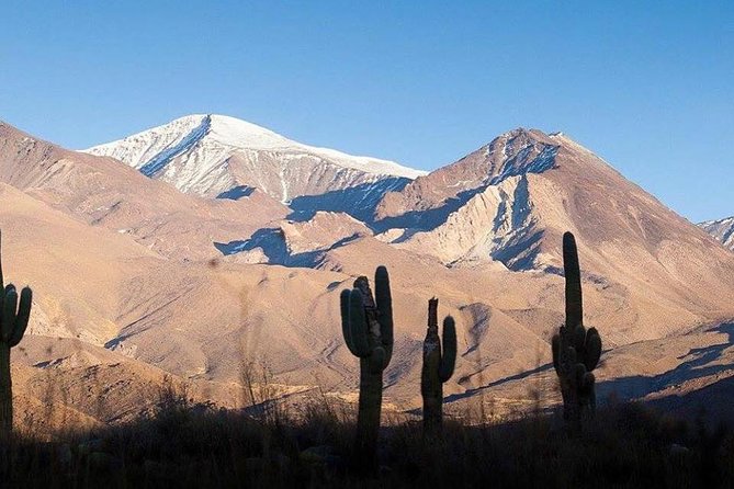 One Day Tour of Cachi and Calchaquí Valleys From Salta