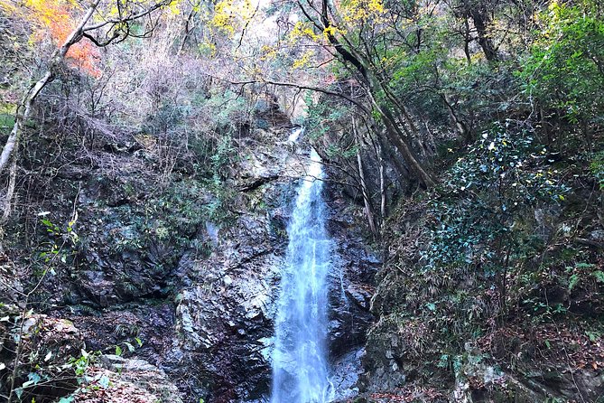 One Day Tour of Tokyos Plentiful Nature in Hinohara Village