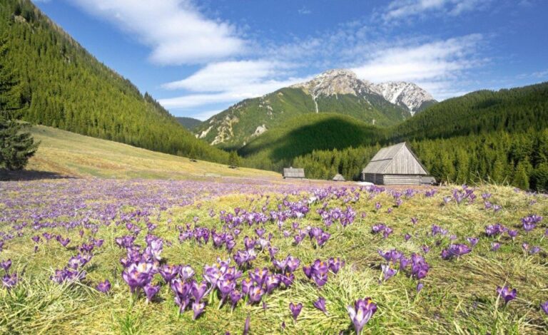 One Day Tour to Zakopane Tatra Mountains From Krakow