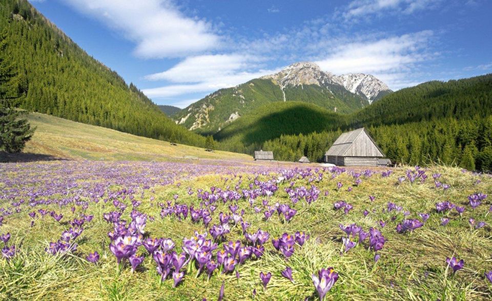 1 one day tour to zakopane tatra mountains from krakow One Day Tour to Zakopane Tatra Mountains From Krakow