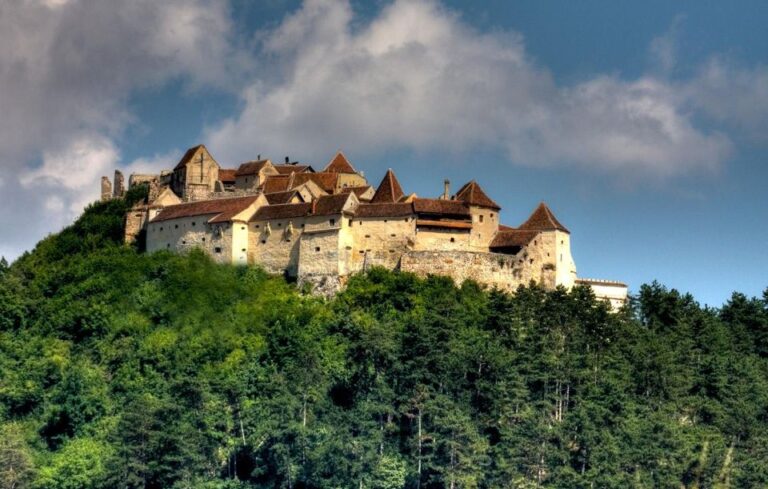 One Day Trip Bear Sanctuary, Dracula Castle, Rasnov Fortress