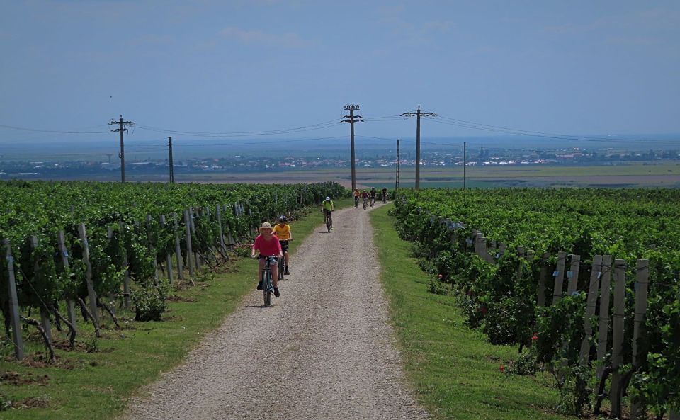 One Day Wine Route by Bike - Gastronomic and Educational Activities Combined