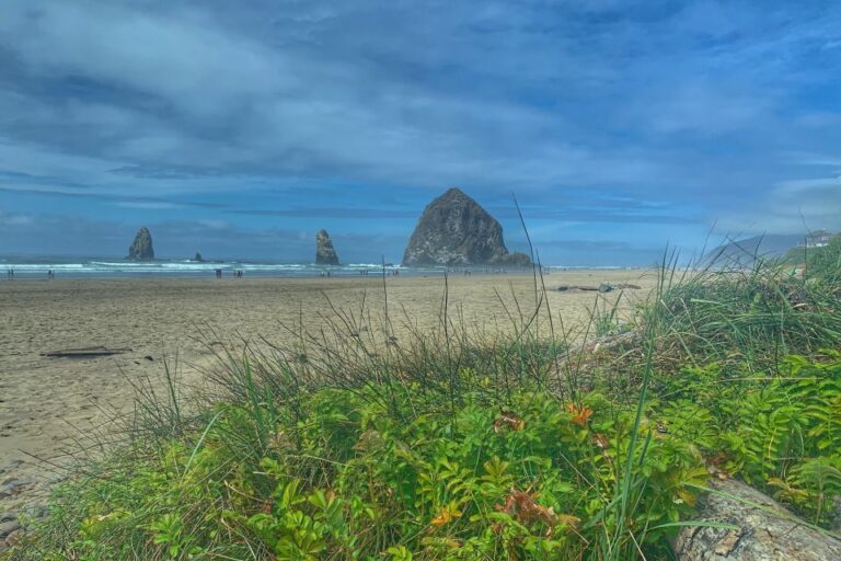 Oregon Coast Day Tour: Cannon Beach and Haystack Rock