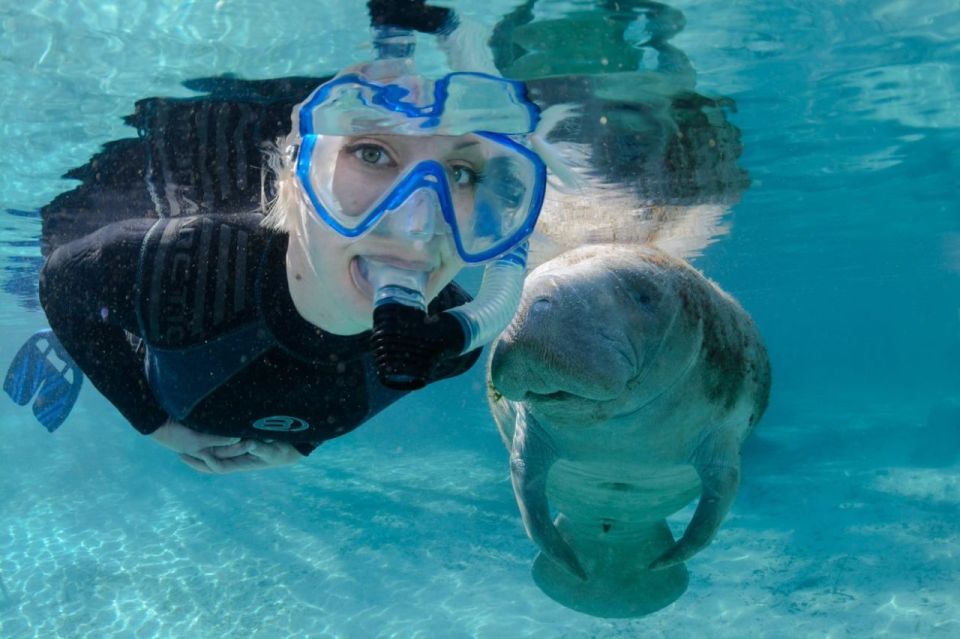 1 orlando manatee encounter snorkeling and airboat ride Orlando: Manatee Encounter, Snorkeling, and Airboat Ride