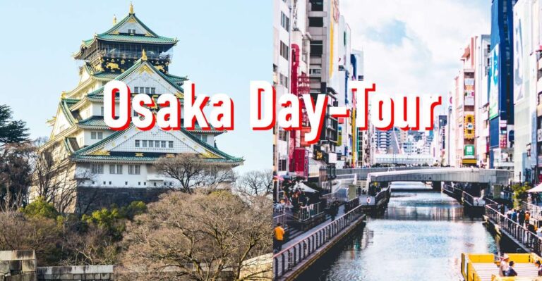 Osaka: 10-Hour Customizable Tour With Private Car