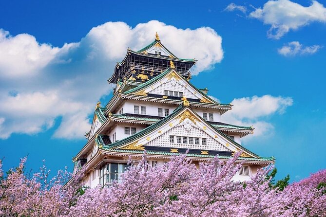 Osaka Cherry Blossom Tour With a Local: 100% Personalized Private