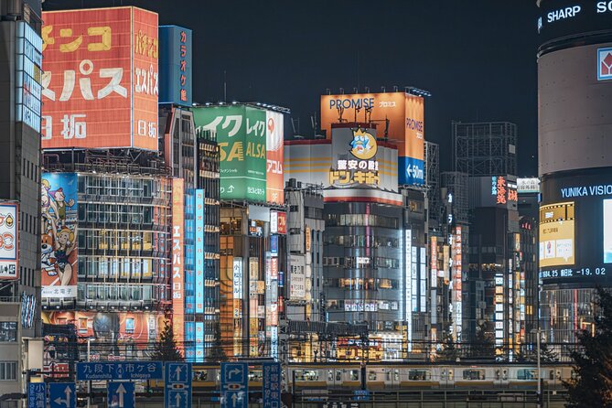 Osaka Nightlife Adventure: Bar Hopping, Shopping and Sightseeing