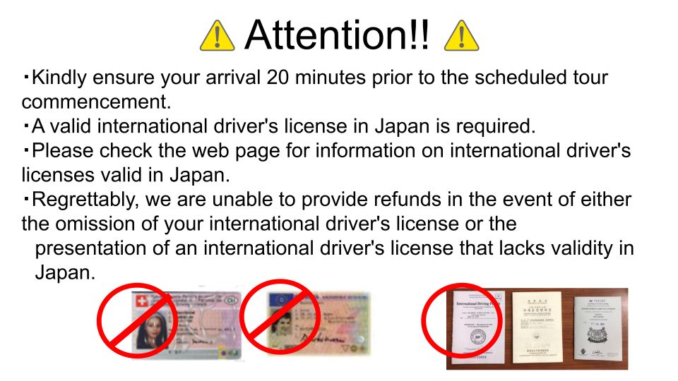 1 osaka street kart experience on public roads Osaka: Street Kart Experience on Public Roads