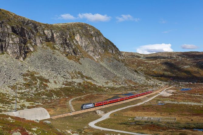 Oslo to Bergen Self-Guided Full Day Trip With Flåm Railway and Fjord Cruise