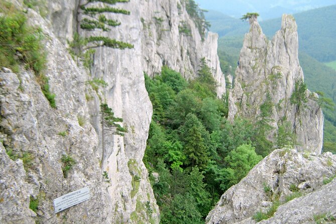 Outdoor Climbing – via Ferrata Experience in Vienna