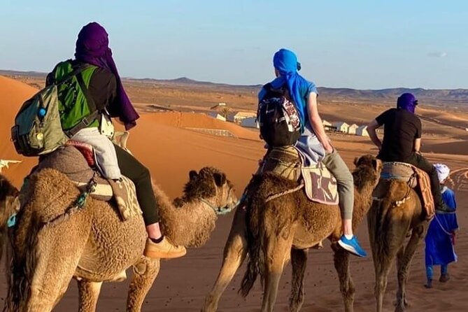 1 overnight stay in desert camp camel trekking in the sahara Overnight Stay in Desert Camp & Camel Trekking in the Sahara