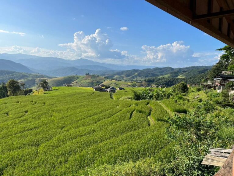 Pa Pong Piang Rice Terraces & Doi Inthanon National Park