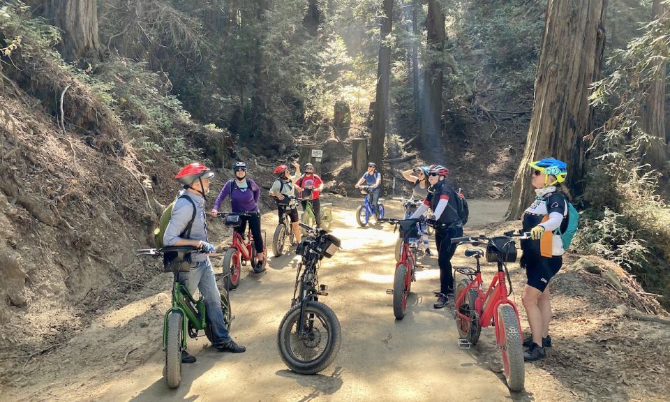 1 pacific grove old coast road e bike tour Pacific Grove: Old Coast Road E-Bike Tour