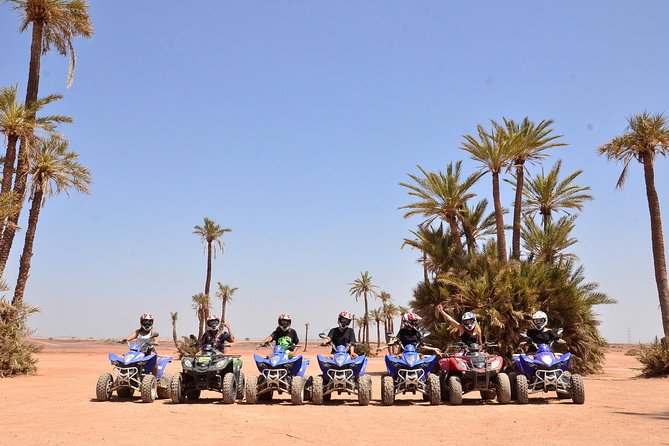 1 palm grove quad bike and camel ride tour Palm Grove Quad Bike and Camel Ride Tour