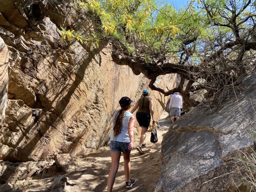 1 palm springs indian canyons hiking tour by jeep Palm Springs: Indian Canyons Hiking Tour by Jeep