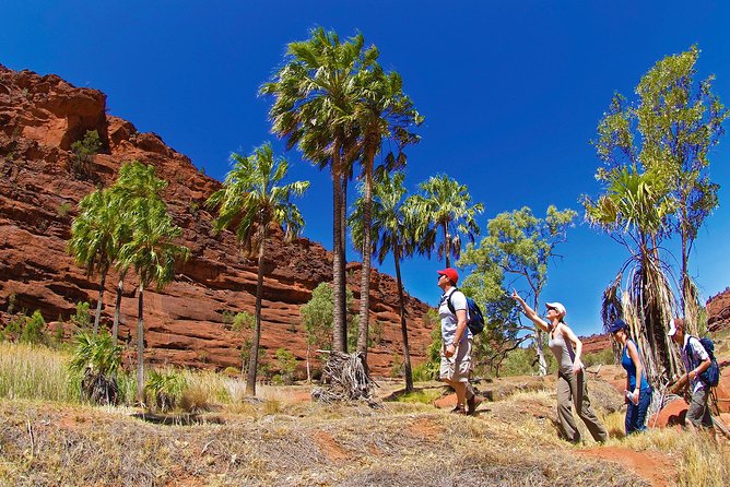 Palm Valley 4WD Tour From Alice Springs