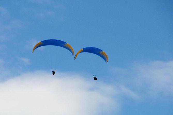 Paragliding and Tandem Flights in the Stubai Valley