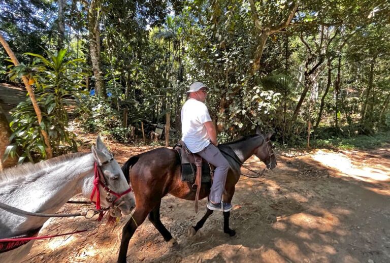 Paraty: 3-Hour Rainforest Horseback Ride