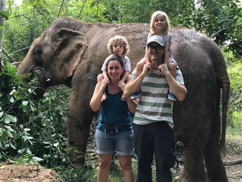 1 pattaya ethical elephant sanctuary interactive tour Pattaya: Ethical Elephant Sanctuary Interactive Tour