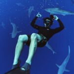1 pelagic shark dive tour Pelagic Shark Dive Tour