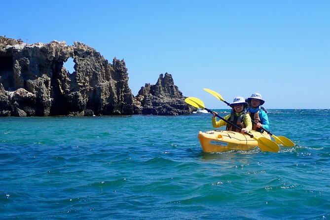Penguin and Seal Islands Sea Kayaking Experience