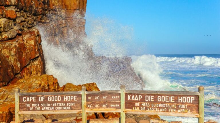 Peninsula Day Tour: Cape Point, Penguins & Table Mountain