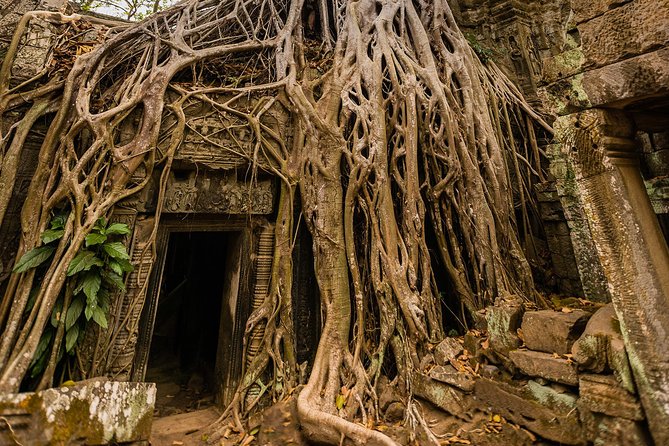 Personalised Angkor Wat Day Tour by an Air-conditioned Car
