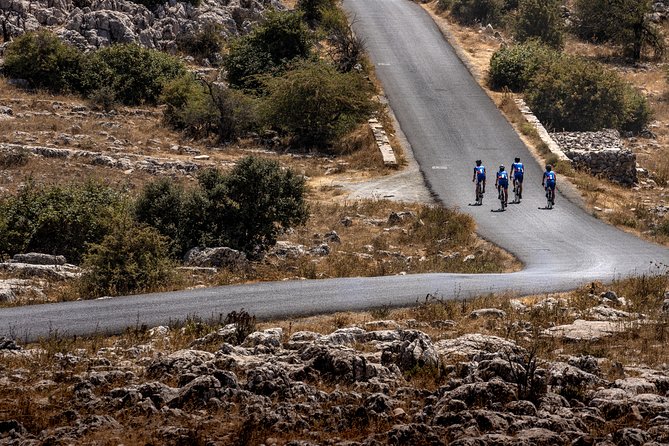 1 personalised road bike tour in malaga Personalised Road Bike Tour in Malaga