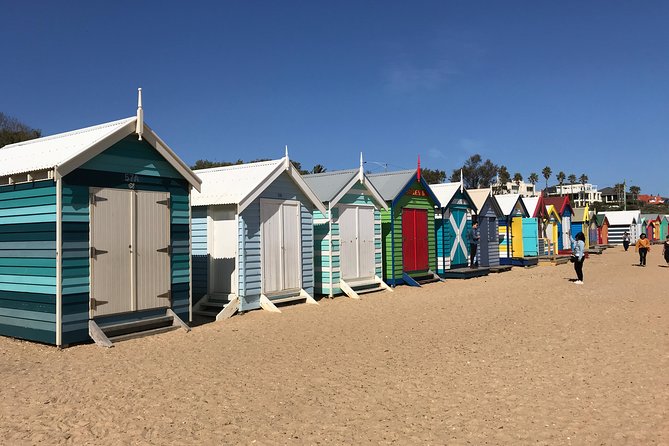 Phillip Island Penguin Parade, Brighton Bathing Boxes and Wildlife Park Tour