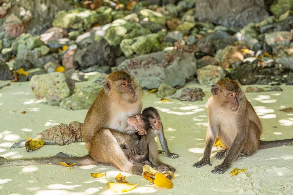 1 phuket bamboo island and phi phi islands by fast catamaran Phuket: Bamboo Island and Phi Phi Islands by Fast Catamaran