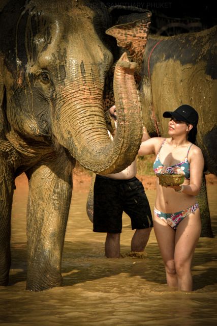 Phuket: Elephant Jungle Sanctuary Half-Day Visit With Meal