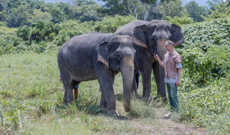 1 phuket elephant sanctuary small group tour Phuket: Elephant Sanctuary Small Group Tour