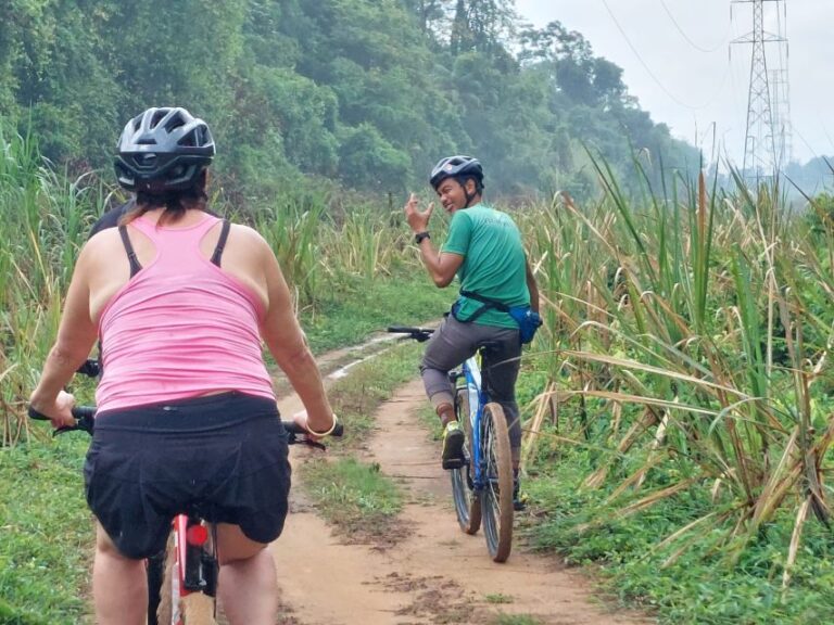 Phuket: Half-Day Countryside Cycling Tour With Lunch