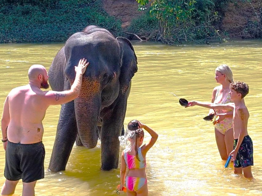 1 phuket khao sok private elephant day care and bamboo raft Phuket: Khao Sok Private Elephant Day Care and Bamboo Raft