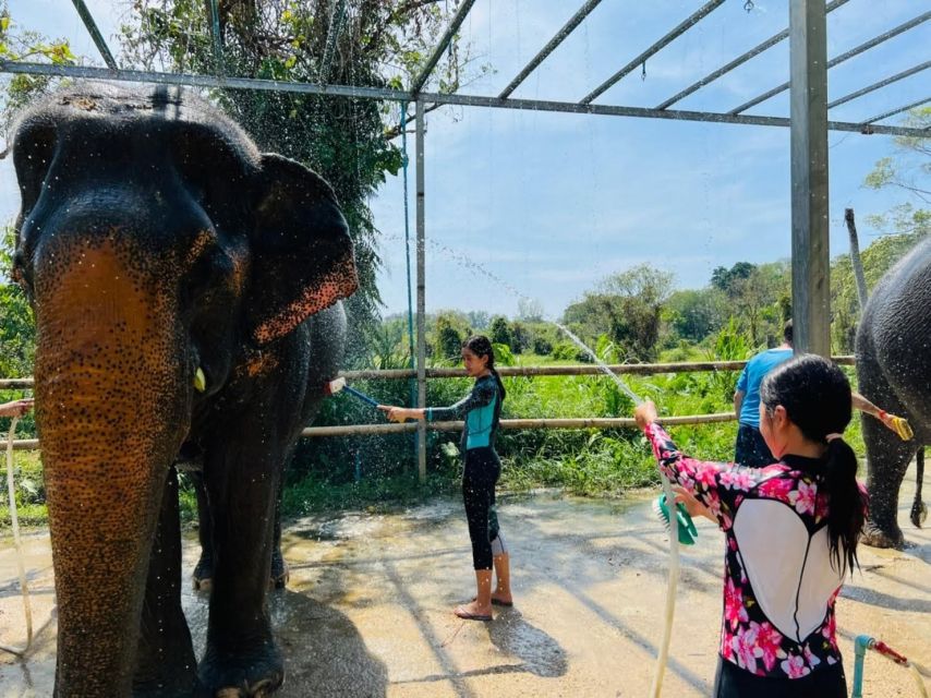 1 phuket phuket elephant care sanctuary eco tour Phuket: Phuket Elephant Care Sanctuary ECO Tour