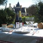 1 picnic in the vines a unique loire wine experience Picnic in the Vines - A Unique Loire Wine Experience