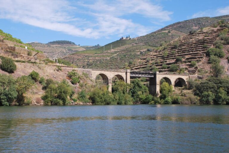 Pinhão: Douro Valley Rabelo Boat Tour and Kayak Experience